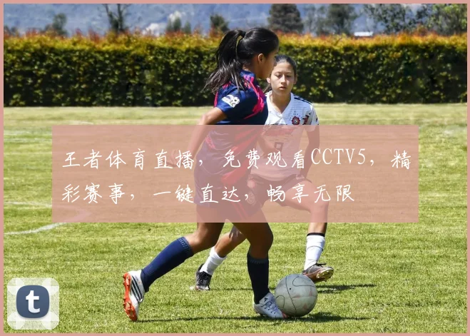 王者体育直播，免费观看CCTV5，精彩赛事，一键直达，畅享无限