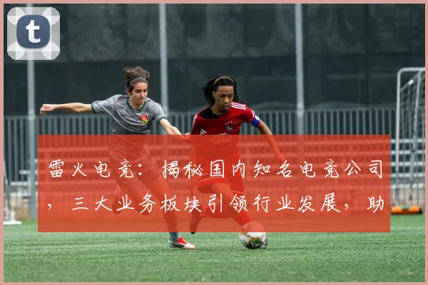 雷火电竞：揭秘国内知名电竞公司，三大业务板块引领行业发展，助力电竞产业腾飞