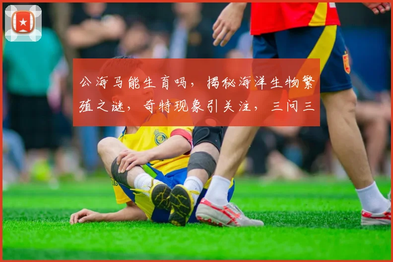 公海马能生育吗，揭秘海洋生物繁殖之谜，奇特现象引关注，三问三答