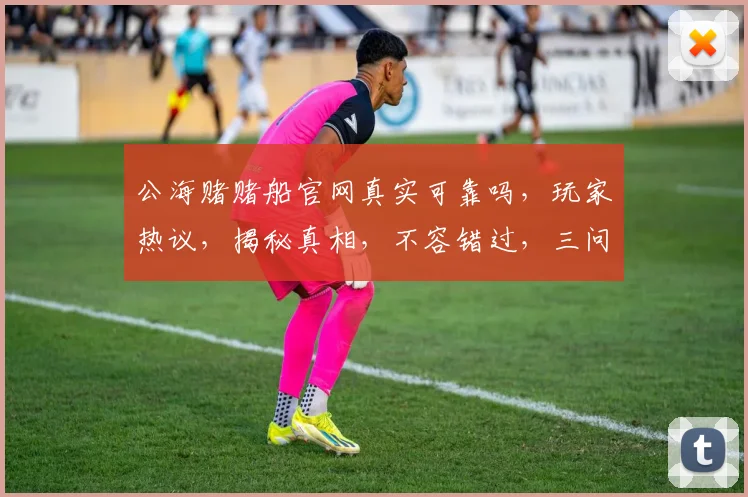 公海赌赌船官网真实可靠吗，玩家热议，揭秘真相，不容错过，三问必看