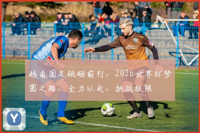 越南国足砥砺前行，2026世界杯梦圆之路，全力以赴，挑战极限