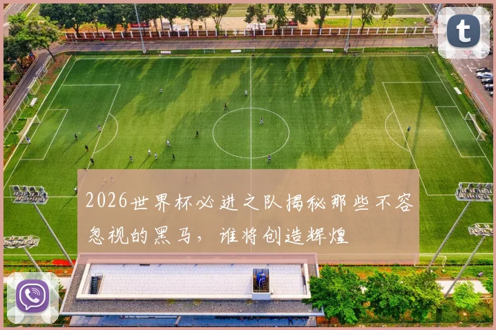 2026世界杯必进之队揭秘那些不容忽视的黑马，谁将创造辉煌